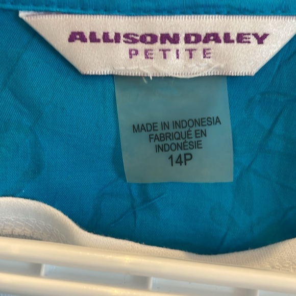 Allison Oakley Petite blue shirt - Picture 2 of 7